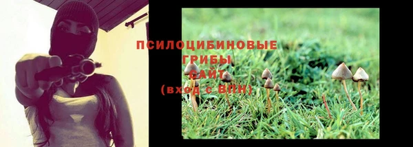 бошки Бабаево
