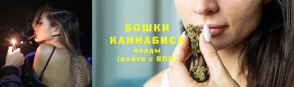 СК Михайловск