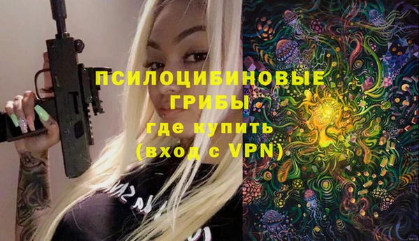 СК Михайловск